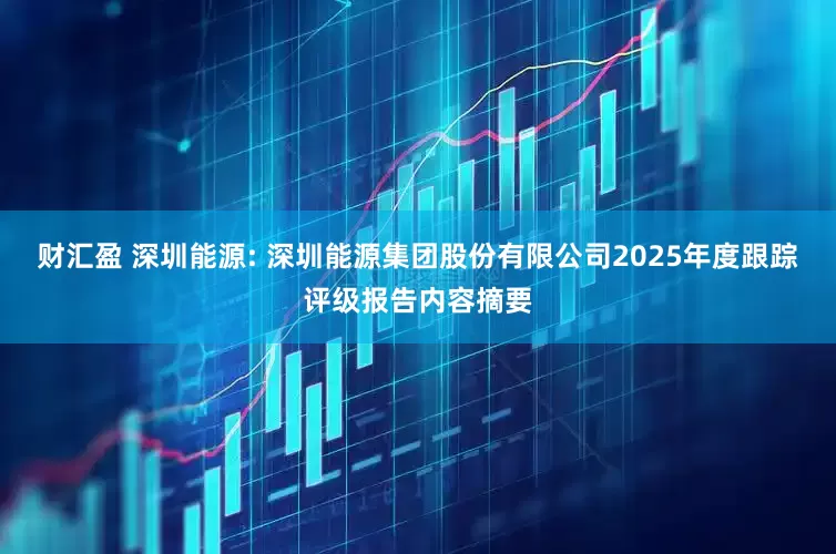 财汇盈 深圳能源: 深圳能源集团股份有限公司2025年度跟踪评级报告内容摘要