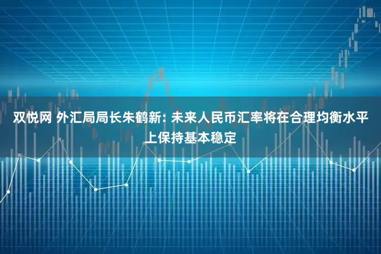 双悦网 外汇局局长朱鹤新: 未来人民币汇率将在合理均衡水平上保持基本稳定