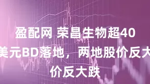 盈配网 荣昌生物超40亿美元BD落地，两地股价反大跌