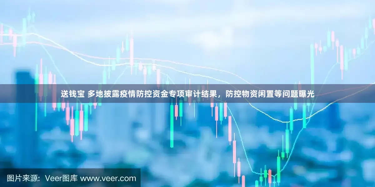 送钱宝 多地披露疫情防控资金专项审计结果，防控物资闲置等问题曝光