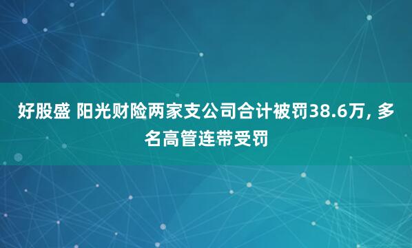 好股盛 阳光财险两家支公司合计被罚38.6万, 多名高管连带受罚