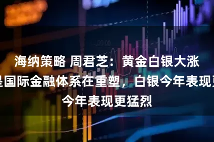 海纳策略 周君芝:黄金白银大涨背后是国际金融体系在重塑,白银今年表现更猛烈