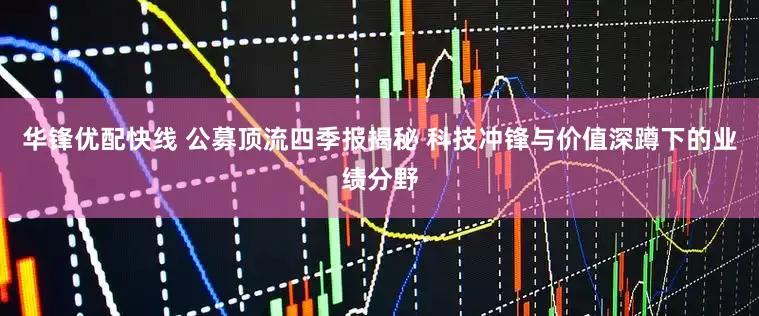 华锋优配快线 公募顶流四季报揭秘 科技冲锋与价值深蹲下的业绩分野