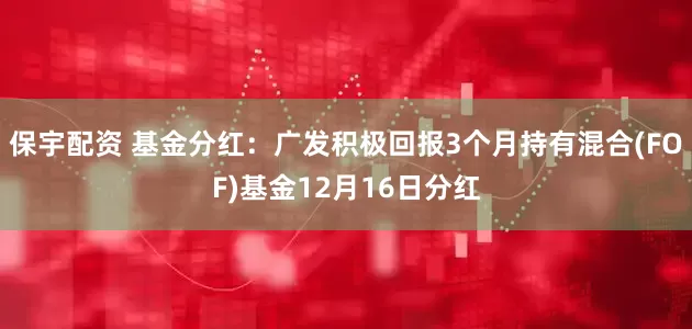 保宇配资 基金分红：广发积极回报3个月持有混合(FOF)基金12月16日分红